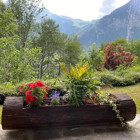 Alpehytte Relais - Fiore Di Bosco - Mont Blanc - Italia *